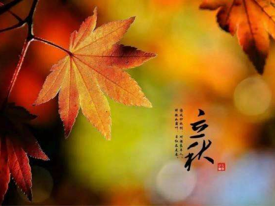 秋來了，莫慌！智慧主機依舊值得推薦的