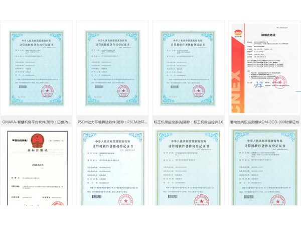 投標項目需要提供動力環境監控檢測報告，你們有嗎？